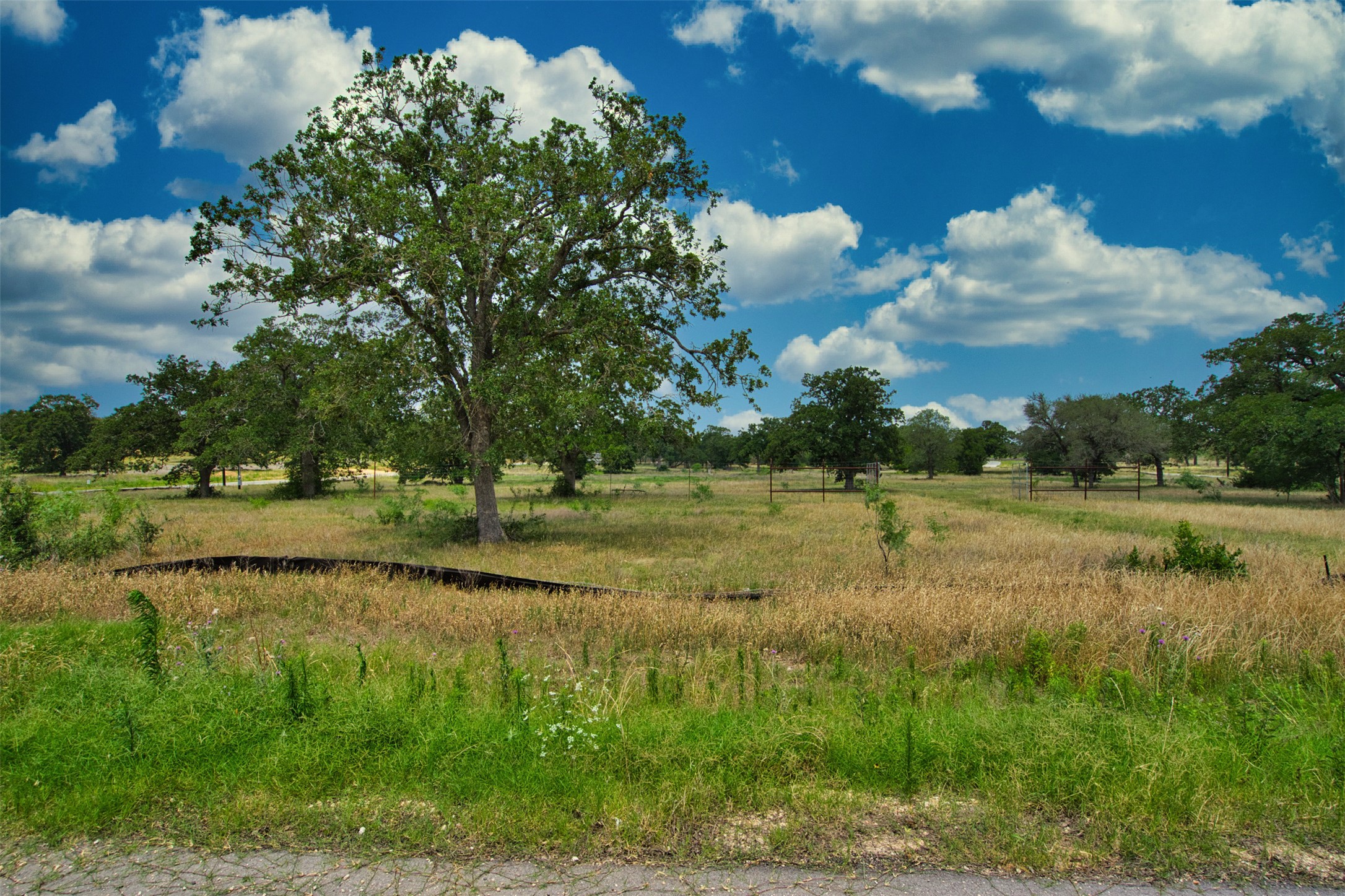 1067 Ferguson Loop Dale Dale, TX 78616 - Photo 6 of 15 a view of lake with green space