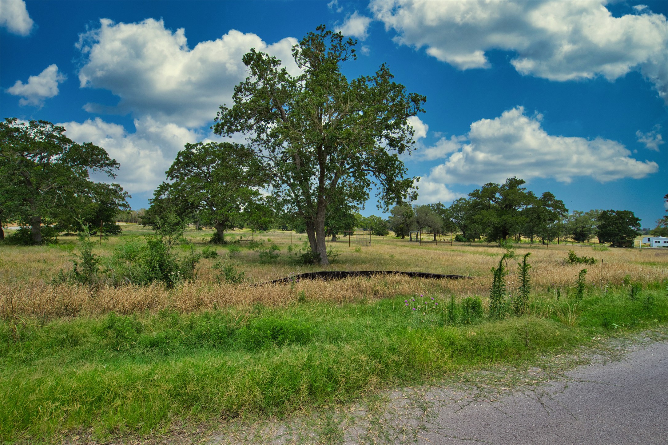 1067 Ferguson Loop Dale Dale, TX 78616 - Photo 7 of 15 a view of lake with green yard