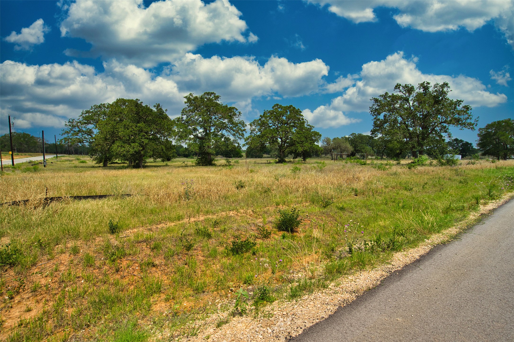 1067 Ferguson Loop Dale Dale, TX 78616 - Photo 10 of 15 a view of yard with green space