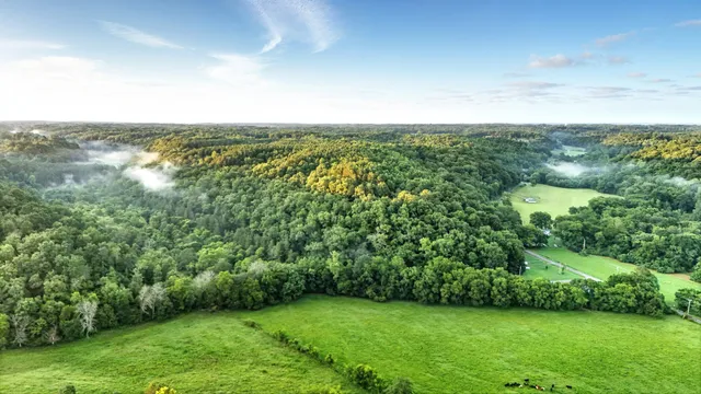 a view of a green field with lots of green space