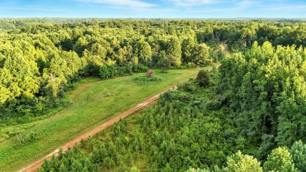 a view of a city with lush green forest