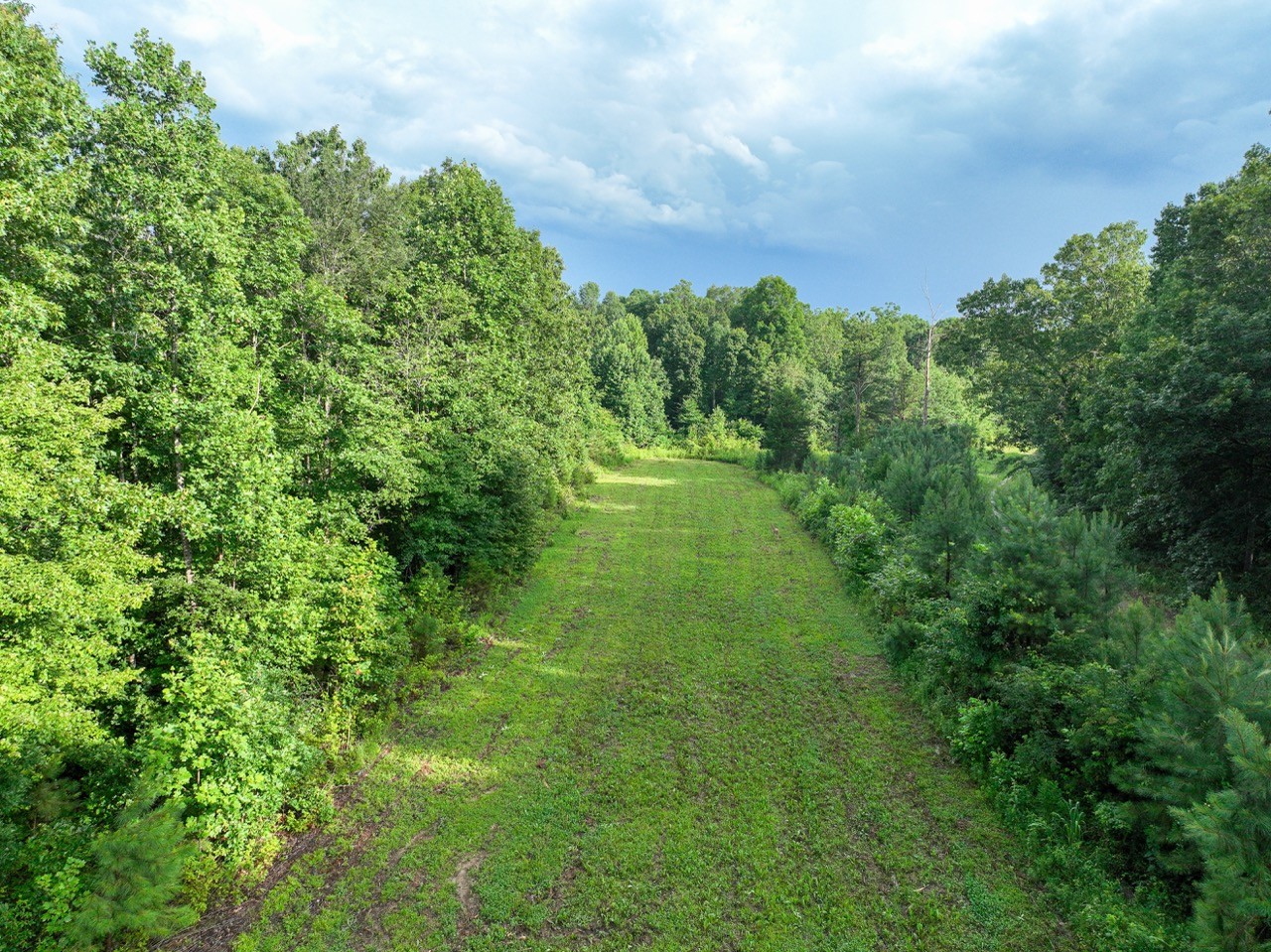 0 West Hollow Road Goodspring, TN 38460 - Photo 13 of 99