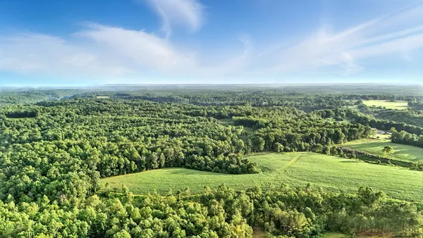 a view of a green field with lots of bushes