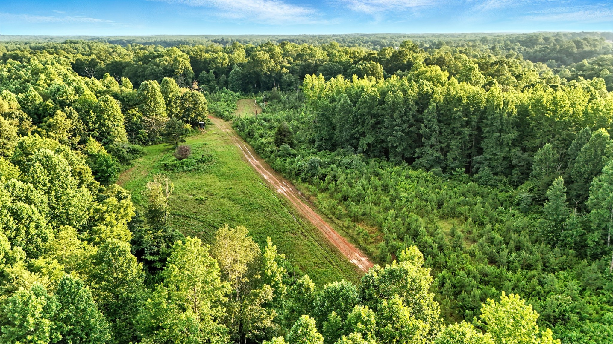 0 West Hollow Road Goodspring, TN 38460 - Photo 18 of 99 a view of a forest with a lake