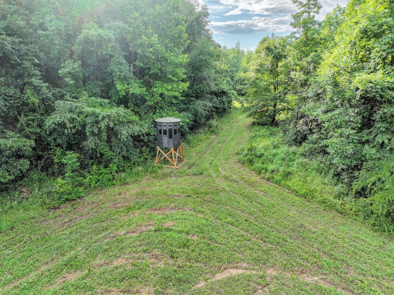 0 West Hollow Road Goodspring, TN 38460 - Photo 19 of 99