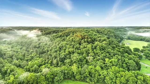 a view of a field with an trees in the background