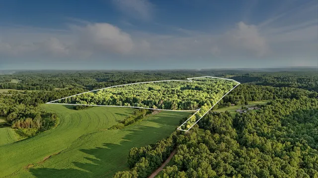 an aerial view of a residential houses with outdoor space and trees