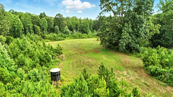 a view of a yard
