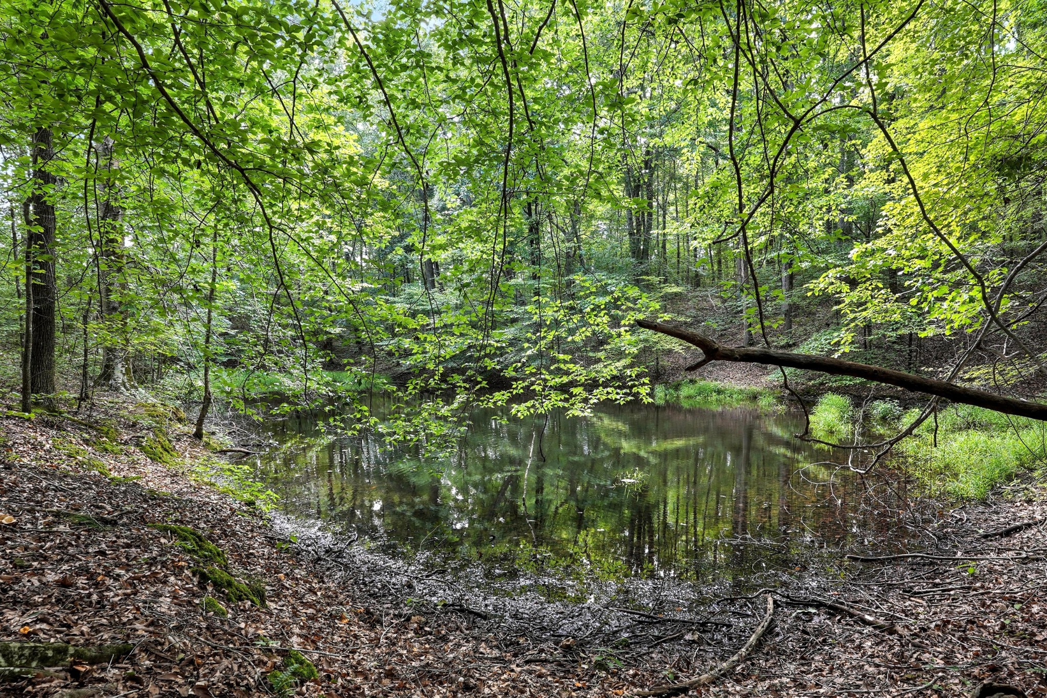 0 West Hollow Road Goodspring, TN 38460 - Photo 24 of 99