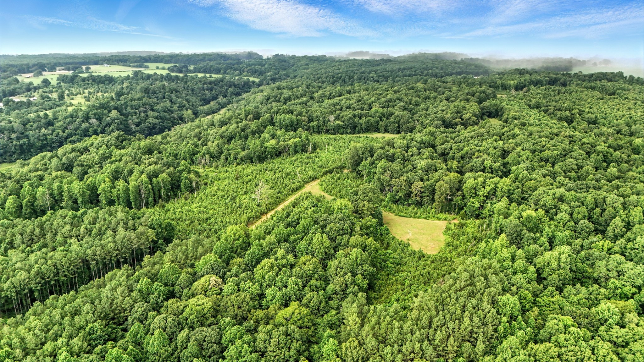 0 West Hollow Road Goodspring, TN 38460 - Photo 25 of 99