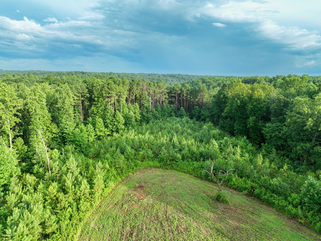 0 West Hollow Road Goodspring, TN 38460 - Photo 26 of 99 a view of a yard with an outdoor space