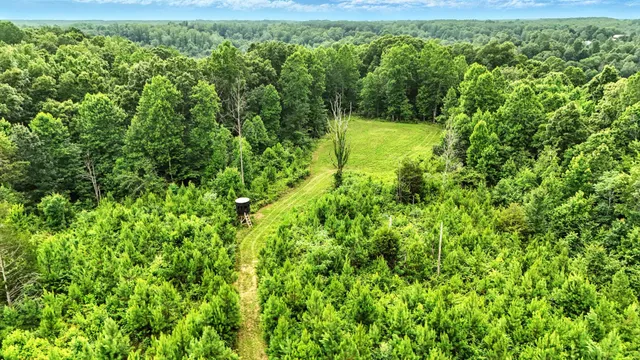 a view of a green field with lots of bushes