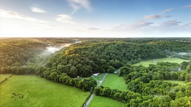 a view of a big yard with lots of green space