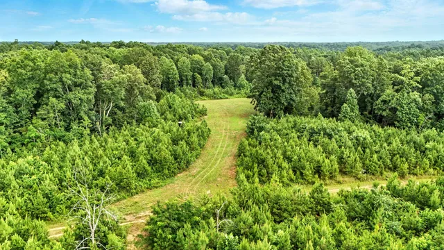 an aerial view of residential houses with outdoor space and trees
