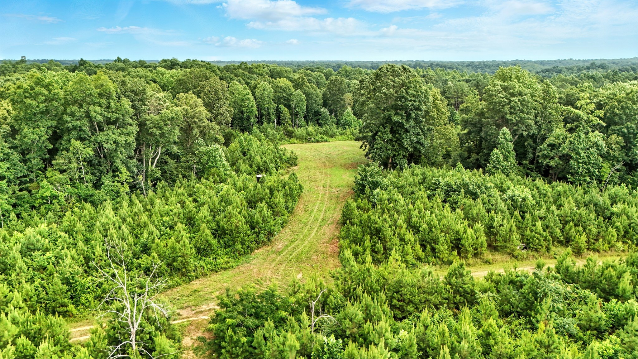 0 West Hollow Road Goodspring, TN 38460 - Photo 29 of 99