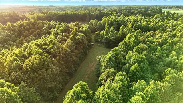 an aerial view of residential houses with outdoor space and trees