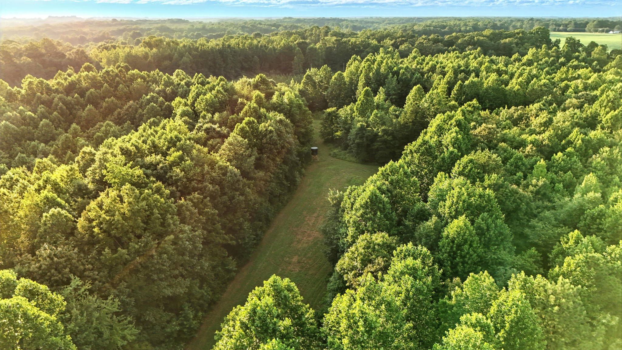 0 West Hollow Road Goodspring, TN 38460 - Photo 30 of 99 a view of a lake with a mountain