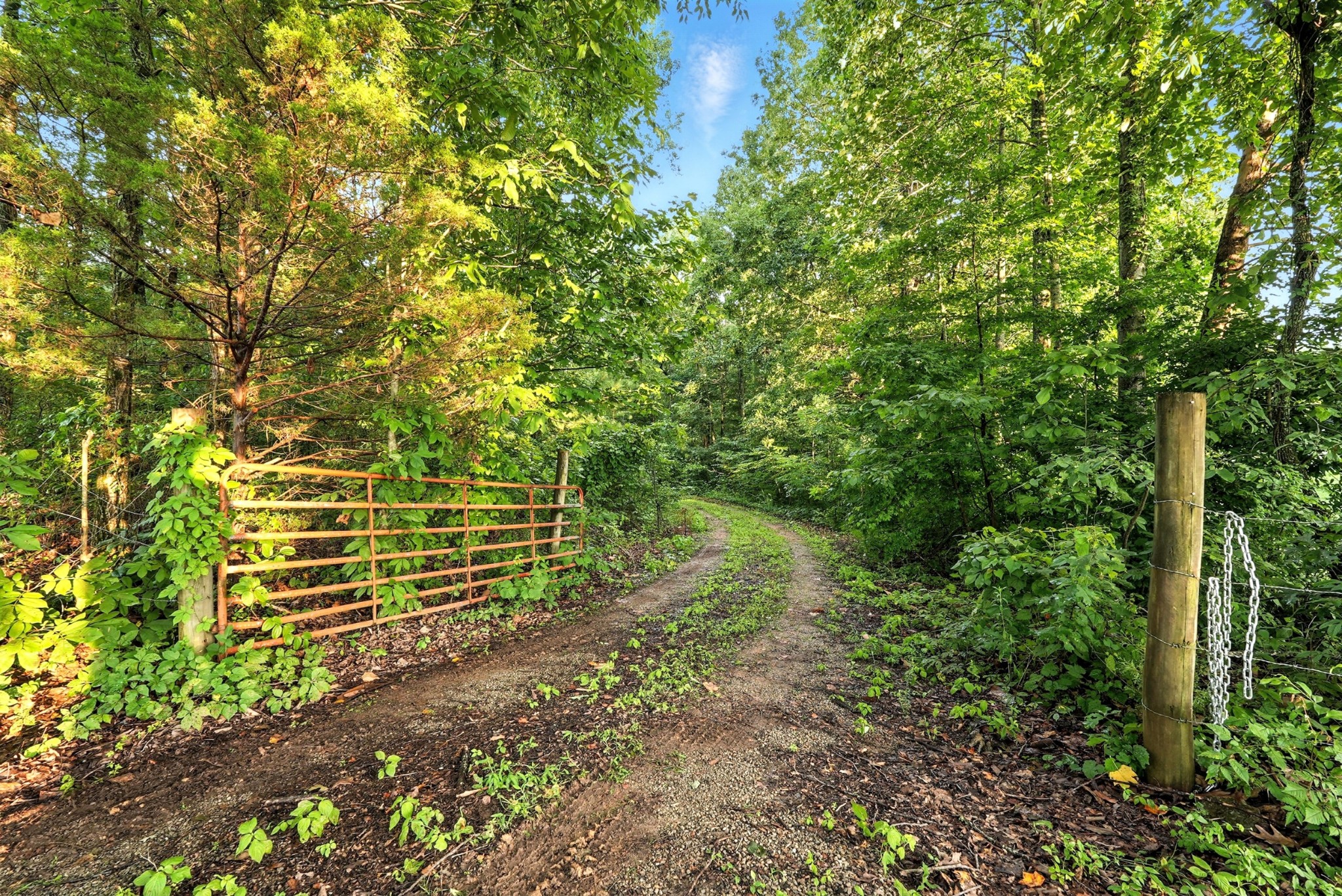 0 West Hollow Road Goodspring, TN 38460 - Photo 3 of 99
