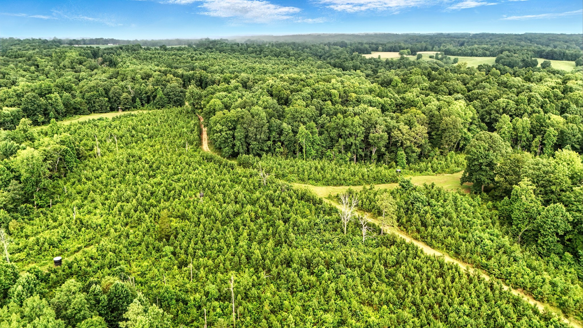 0 West Hollow Road Goodspring, TN 38460 - Photo 31 of 99