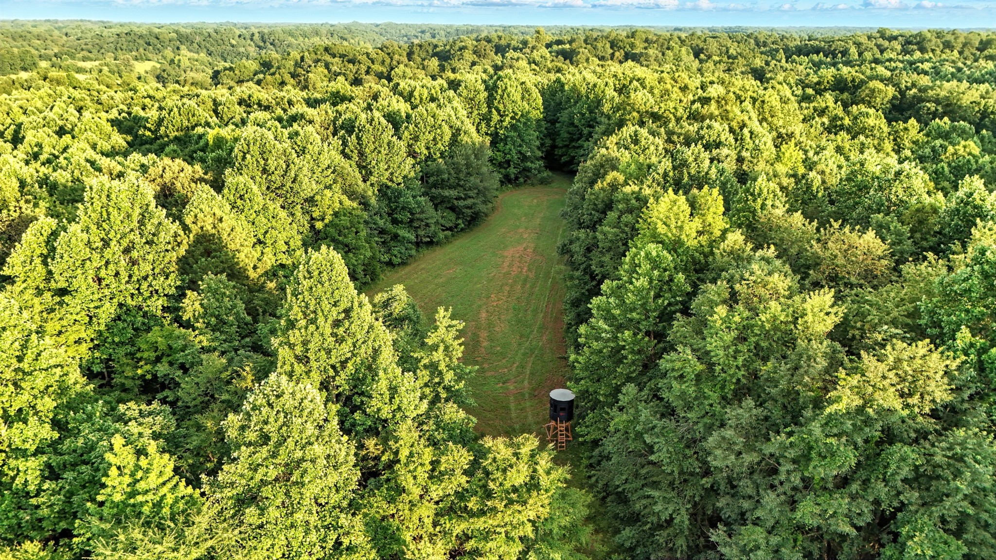 0 West Hollow Road Goodspring, TN 38460 - Photo 32 of 99