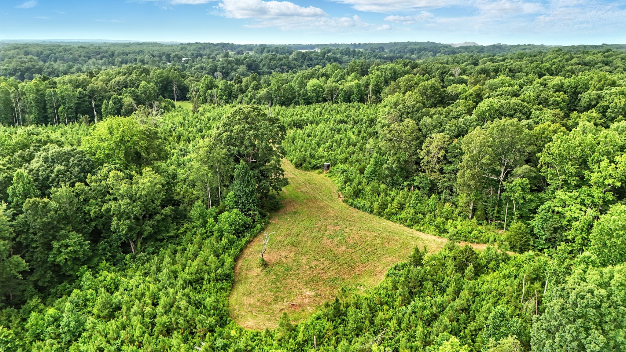 0 West Hollow Road Goodspring, TN 38460 - Photo 33 of 99 a view of a yard in a garden