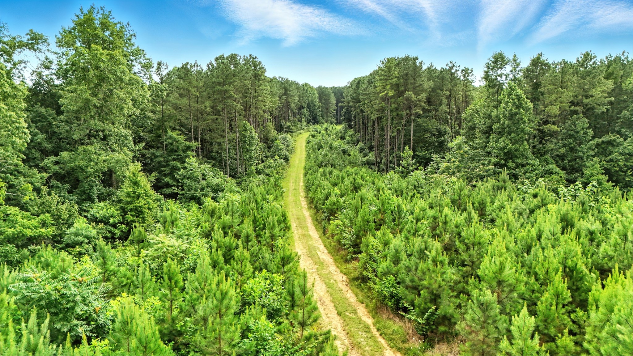 0 West Hollow Road Goodspring, TN 38460 - Photo 36 of 99