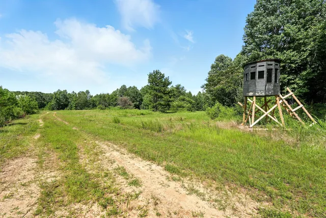 a view of a chairs and table in the outdoor