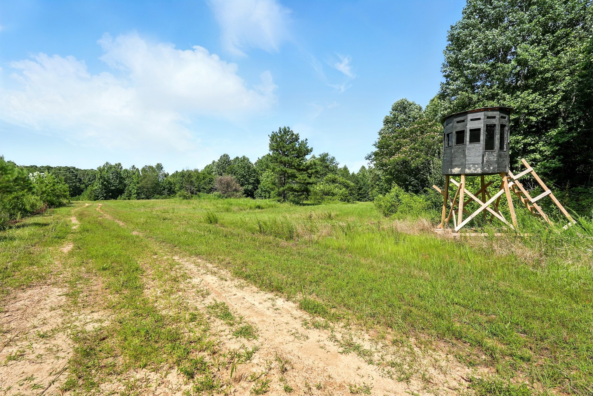 0 West Hollow Road Goodspring, TN 38460 - Photo 38 of 99