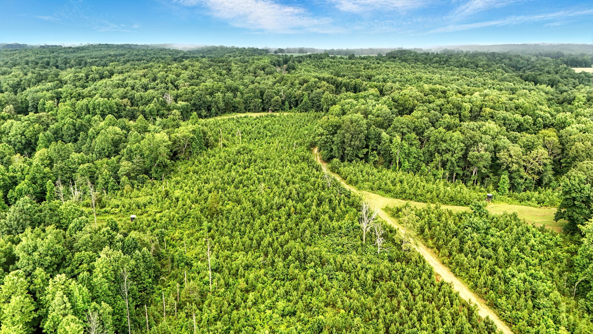 0 West Hollow Road Goodspring, TN 38460 - Photo 39 of 99 a view of a green field with lots of bushes