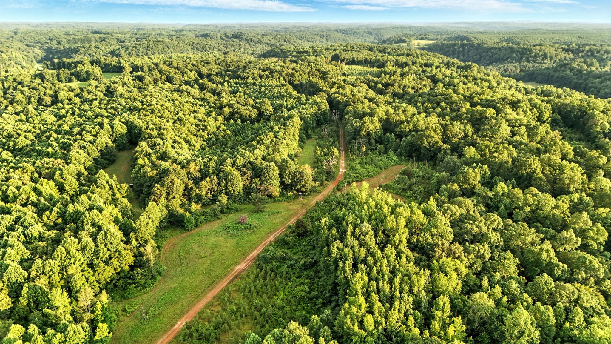 0 West Hollow Road Goodspring, TN 38460 - Photo 40 of 99