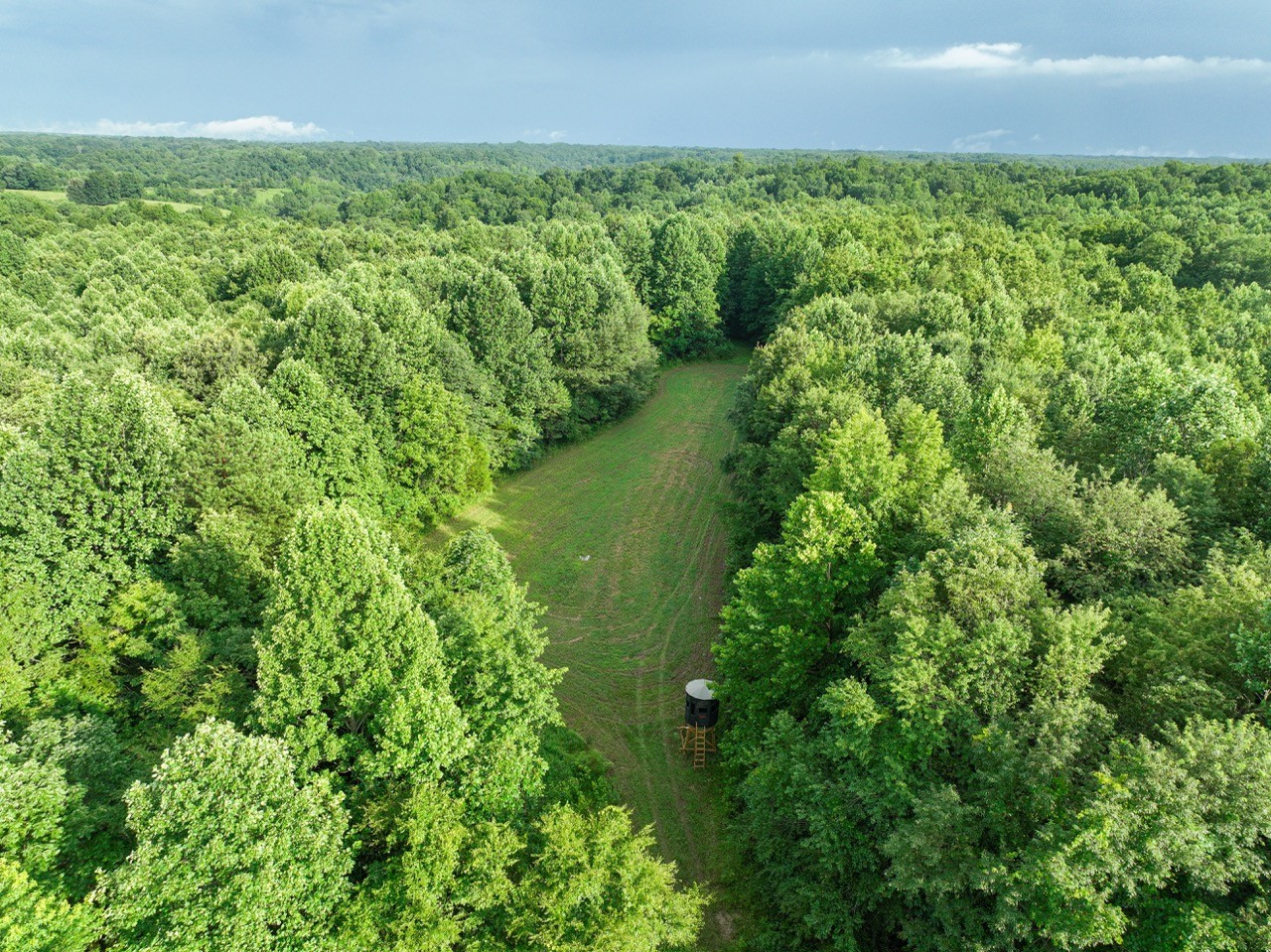 0 West Hollow Road Goodspring, TN 38460 - Photo 4 of 99