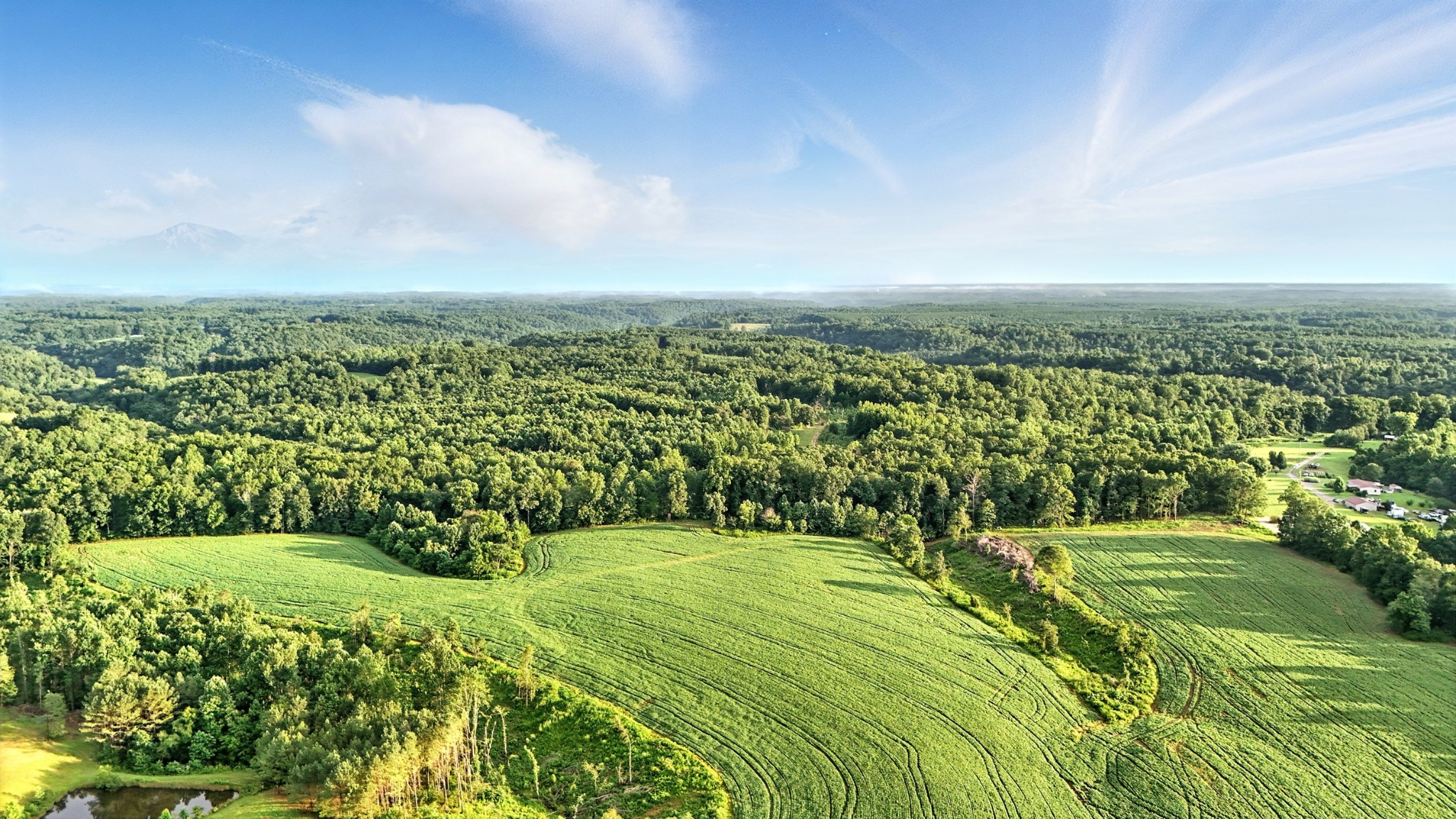 0 West Hollow Road Goodspring, TN 38460 - Photo 41 of 99 a view of a city