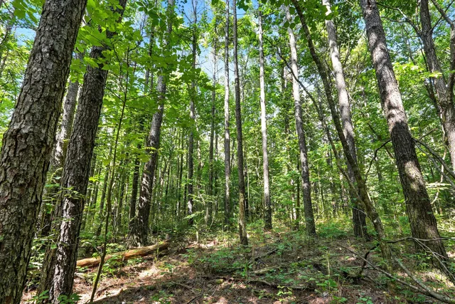 a view of a chairs and table in the patio