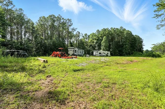 a view of a yard with large tree
