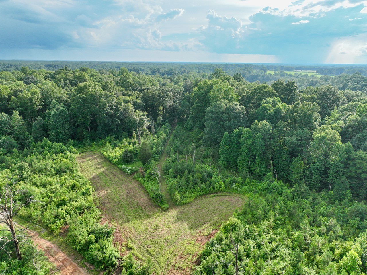 0 West Hollow Road Goodspring, TN 38460 - Photo 44 of 99