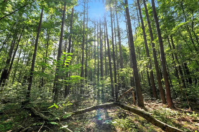a view of table and chairs in wooden floor