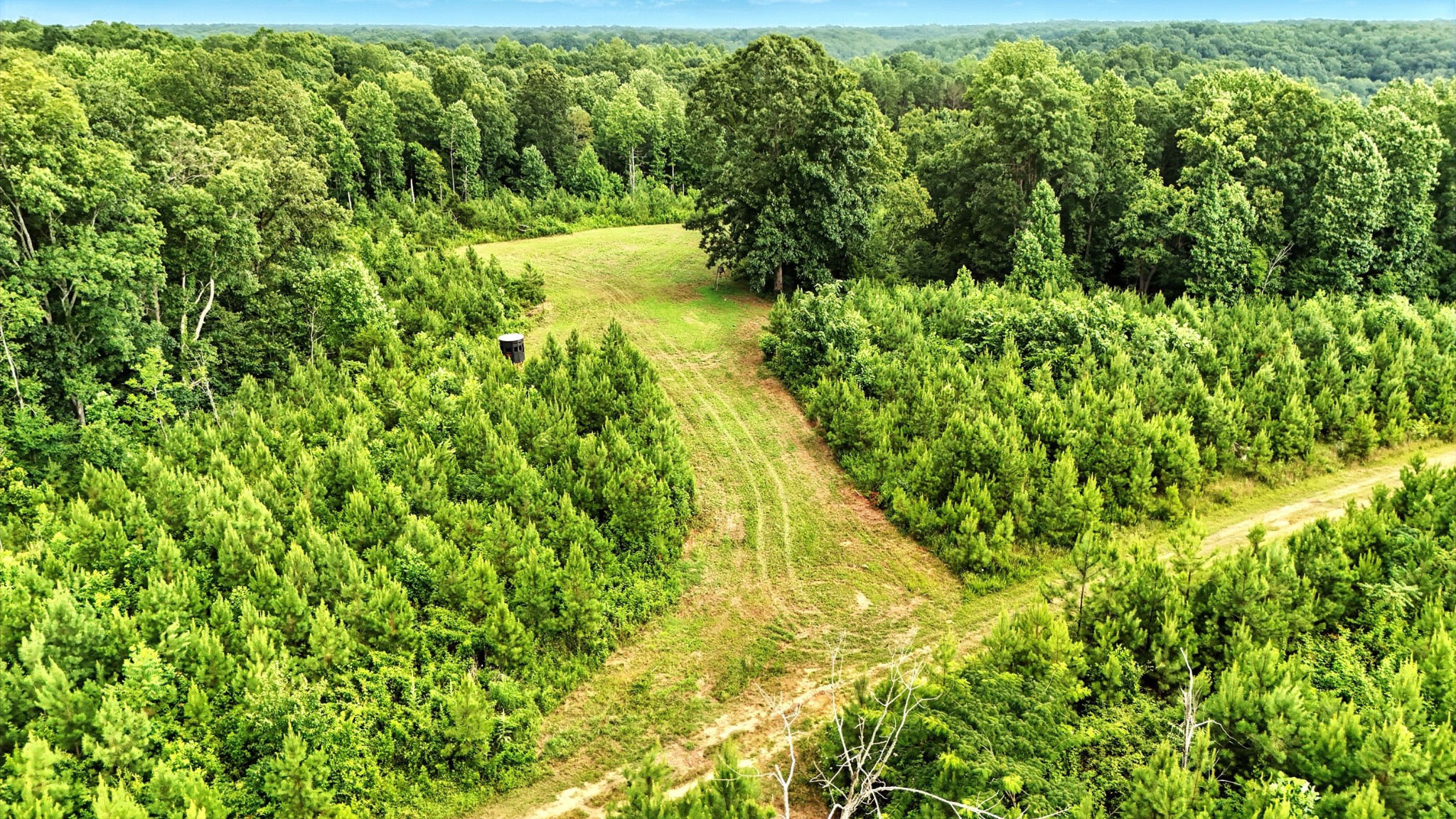 0 West Hollow Road Goodspring, TN 38460 - Photo 50 of 99