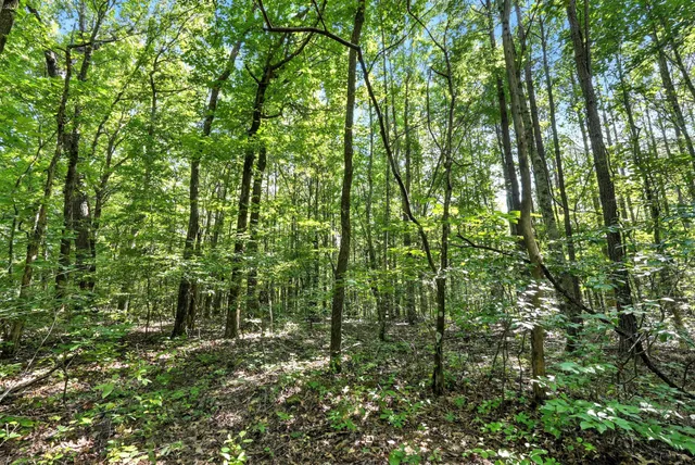 $1,400,000 | 0 West Hollow Road, Goodspring, TN 38460