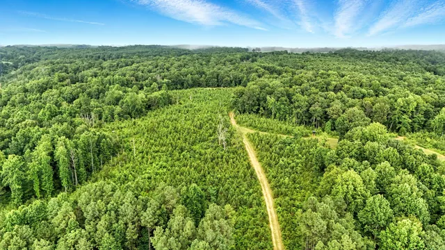 $1,400,000 | 0 West Hollow Road, Goodspring, TN 38460