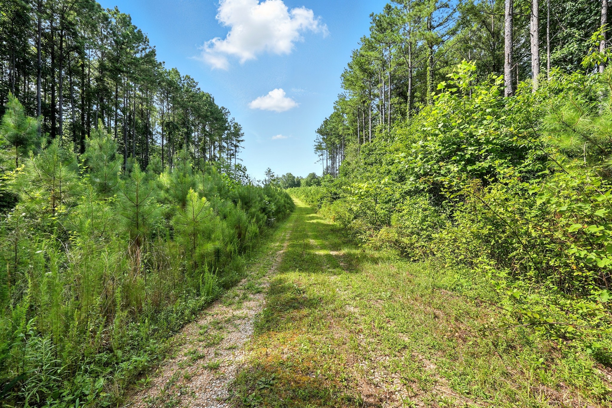 0 West Hollow Road Goodspring, TN 38460 - Photo 53 of 99
