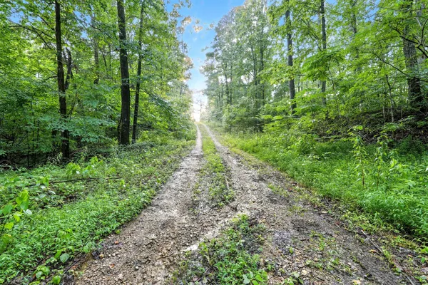 $1,400,000 | 0 West Hollow Road, Goodspring, TN 38460