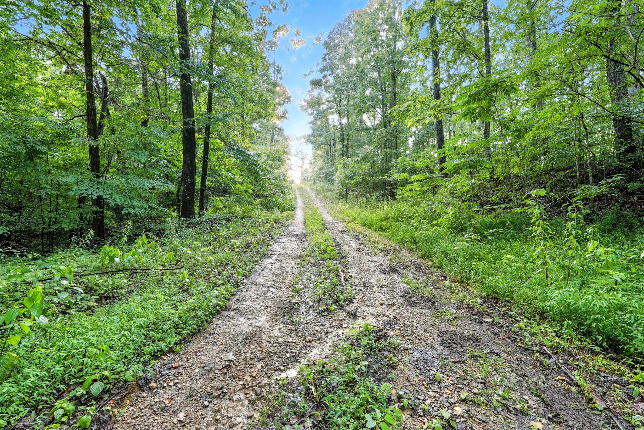 0 West Hollow Road Goodspring, TN 38460 - Photo 55 of 99