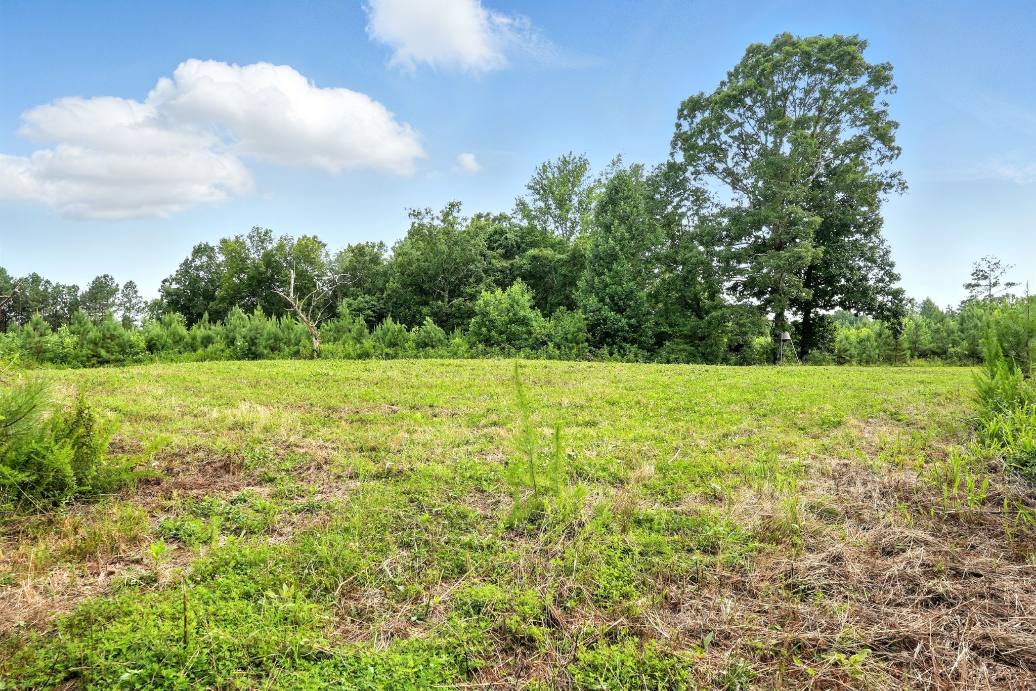 0 West Hollow Road Goodspring, TN 38460 - Photo 57 of 99 a view of a green field with wooden fence