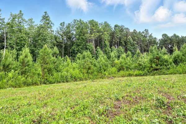 $1,400,000 | 0 West Hollow Road, Goodspring, TN 38460