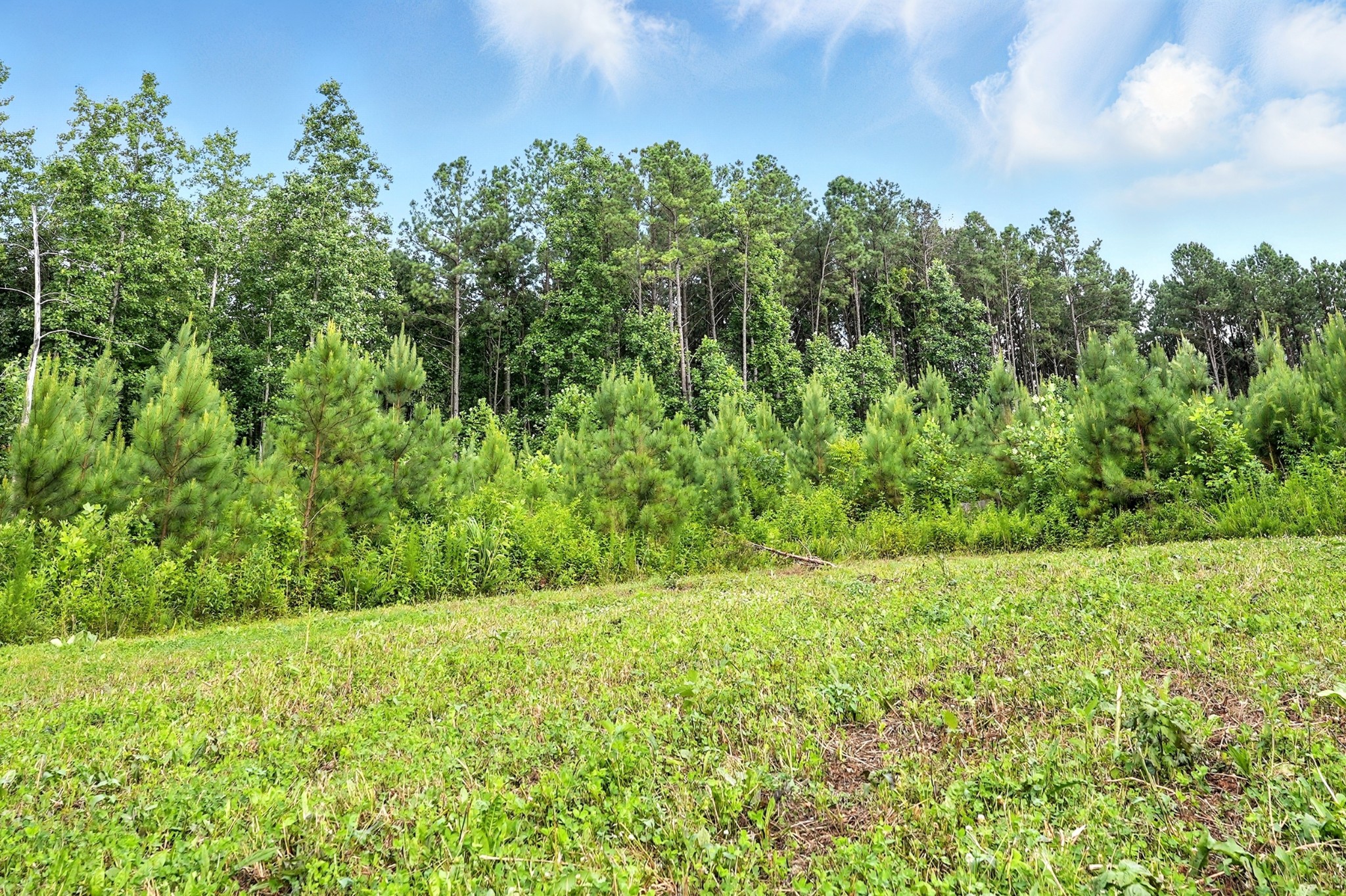 0 West Hollow Road Goodspring, TN 38460 - Photo 59 of 99