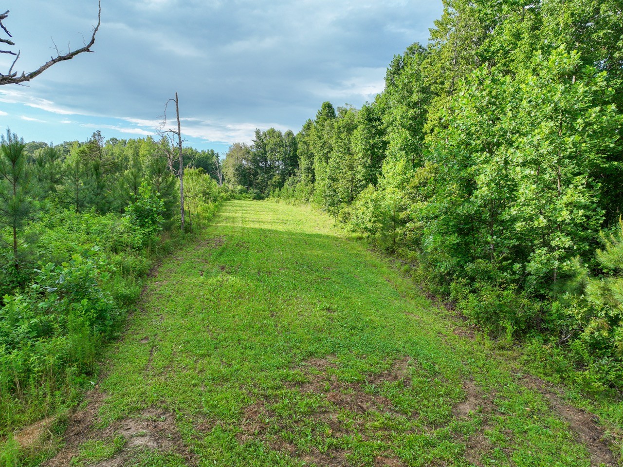 0 West Hollow Road Goodspring, TN 38460 - Photo 60 of 99