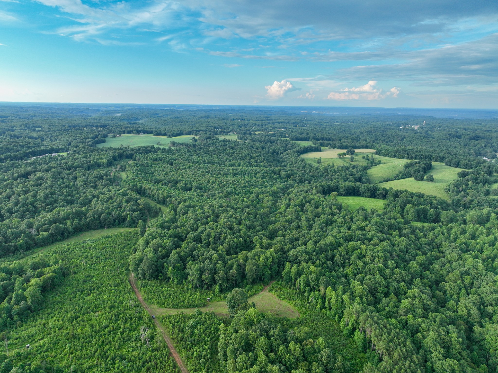 0 West Hollow Road Goodspring, TN 38460 - Photo 61 of 99 an aerial view of residential houses with outdoor space and trees