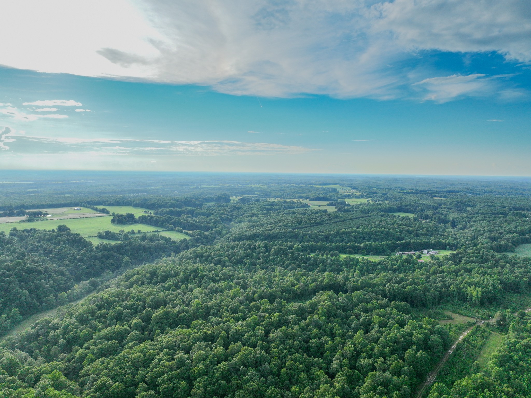 0 West Hollow Road Goodspring, TN 38460 - Photo 66 of 99 a view of a big yard with lots of green space