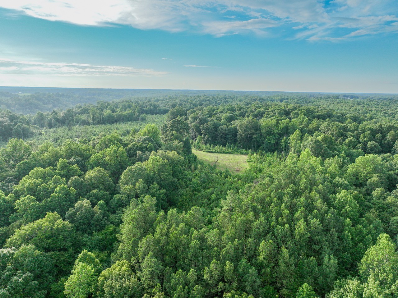 0 West Hollow Road Goodspring, TN 38460 - Photo 67 of 99 an aerial view of residential houses with outdoor space and trees