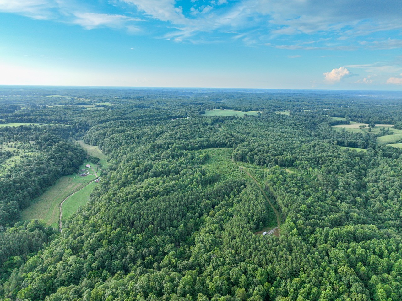 0 West Hollow Road Goodspring, TN 38460 - Photo 68 of 99 an aerial view of residential houses with outdoor space and trees